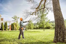 Best Tree Preservation Services  in Coosada, AL